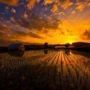 인체 - 리듬 이미지