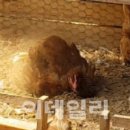 산계농장 이미지