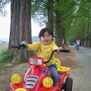 호동목장 이미지