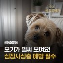 젠동물병원 네이버블로그