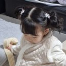 유성주단