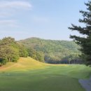 세종에머슨(주) 네이버블로그