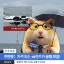 에스케이렌터카 | 제주 여행 SK 렌터카 이용후기 및 장단점 정리! 주행거리계산법, 보험, 운전자추가까지!