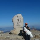 양산카마스타 이미지