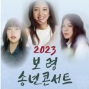 2023 보령 송년콘서트 Daum카페