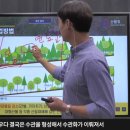 산림엔지니어링숲
