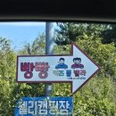 꾸꾸풀빌라 | 안산 대부도 빵빵키즈풀빌라 내돈내산 여름 휴가 여름방학 대가족 아기랑 아이랑 키즈 숙소