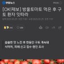 방울토마토 먹은 후 구토 환자 잇따라 이미지