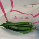 한국체대 킴스태권도장 이미지