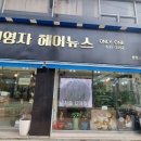 전영자헤어뉴스