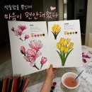 색칠 | 색 하나로 마음이 편안해졌던 시간, 제이가그려요 어른 색칠공부 후기