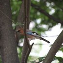 연의체육공원 이미지