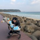 생일 | Chapter 2. 생일 후기 [ 한옥 돌스냅 ]