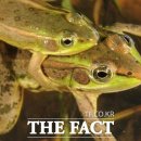 금와습지 생태공원 이미지