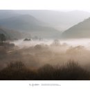 깊은산속 이미지