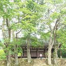 영보농장 이미지