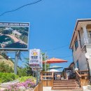 정동진백악관 이미지