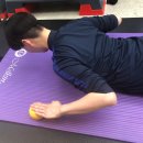 PUSHUP GYM 이미지