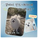 펫가드 | 강아지 진드기퇴치제 : 잡스펫가드 사용 후기