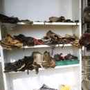 레이크밸리승마클럽 이미지