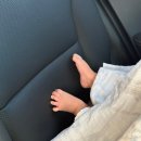 디자인ABC - 서구 | 디자인ABC