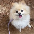 환희네 꿀벌농원 이미지