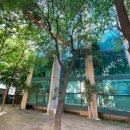 용산-이촌-1506 이미지