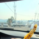 롯데리아속초점 이미지