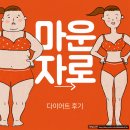 마운자로 끊고 2개월, 요요는 왔을까? 시작 시점과 현재 체중 공개