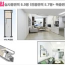 디베뉴스타 이미지