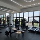 용바디짐 | 탄현PT 용바디짐에서 운동하는데 진짜 좋은 것 같아요!!