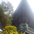 대환축사 이미지