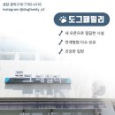 대구강아지분양도그패밀리