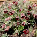 보운농장 이미지