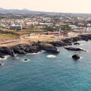 제주애월당귤 이미지