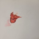 보타니컬화 이미지