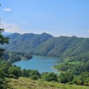 소떼목장 | 강원/춘천 해피초원목장