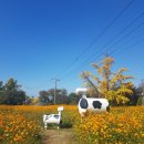 황화목장 이미지