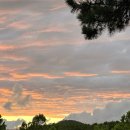 지한약국 이미지