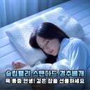 지긋지긋한 거북목 통증과 작별하는 법, 슬립웰리 스탠다드 경추베개로 시작하는 숙면 테라피