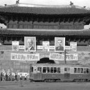 1956년 대통령선거 이미지