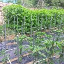 은향하늘채 이미지