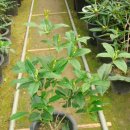 계화농장 이미지