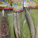 210122 | 210122 햄스티벌 후기