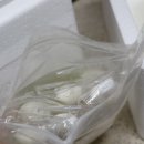 아산풍성한영농조합법인