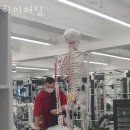 하이퍼짐 이미지