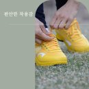 신발여행2 이미지