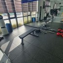 양양군 종합운동장 이미지