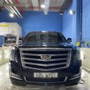 신동광택 이미지