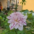 외간체육공원 이미지